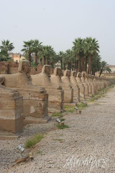 Mud Maps Africa Luxor 4421